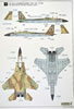 Great Wall Hobby Kit No. L7202 - McDonnell-Douglas F-15I Raam Review by John Miller: Image
