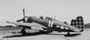 Monogram 1/48 P-47D Thunderbolt by Valter Vaudagna: Image