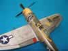 P-47D Thunderbolts: Image