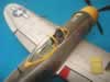 P-47D Thunderbolts: Image