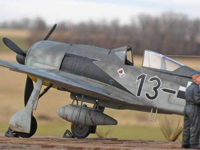 FW 190 f8. Feature p