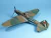 Academy 1/72 scale Il-2 Stormovik by Chip Jean: Image
