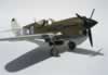 Hasegawa 1/32 P-40N by Michael Woodgate: Image