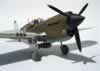 Hasegawa 1/32 P-40N by Michael Woodgate: Image