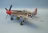 Hasegawa 1/32 scale P-51D Mustang "Man o' War" by Franz Galli Chavarria: Image