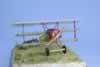 Eduard 1/48 scale Fokker DR.I x 2 by Michael Scott: Image