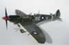 Tamiya 1/32 scale Spitfire Mk.VIII Conversion by Michael Woodgate: Image