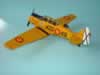 Ocidental 1/48 scale T-6 Texan by Eugenio Ales: Image