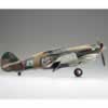 Trumpeter 1/48 scale Hawk 75 by Tim Holwick: Image