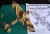 Airfix 1/48 scale Spitfire Mk.Ia by Roger Brown: Image