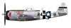 Thunderbolts of the Hell Hawks Decals SNEAK PREVIEW (BarracudaCals, 1/48 scale): Image