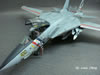Hasegawa 1/48 scale F-14D Tomcat by Louis Chang: Image