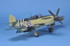 Special Hobby 1/48 Fairey Firefly Mk.V by Remi Schackmann: Image