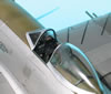 Tamiya 1/48 P-47D by Tolga Ulgar: Image