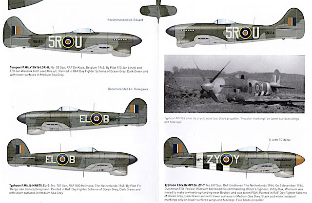 Dutch Decal Dutchies in the RAF Review by Brad Fallen