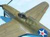Hasegawa 1/32 P-40E Warhawk by Tolga Ulgur: Image