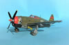 Tamiya 1/48 P-47D Thunderbolt by Tolga Ulgur: Image
