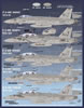Furball Aero Design Item No.48-066  F/A-18C/E/F; EA-18G "Team Factory: CVW-8 at War" Review by Bret: Image