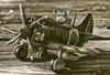Tiger Model Kit No. TT001 - Nakajima Ki-84 Hayate with Cat Pilot by Ken Szeto: Image