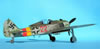 Hasegawa 1/32 Focke-Wulf Fw 190 A-9 by Tolga Ulgur: Image