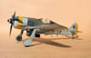 Hasegawa 1/32 Fw 190 F-8 by Tolga Ulgur: Image