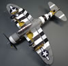 P-47D Thunderbolts of the 368th Fighter Group by Karen Coughlin: Image