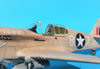 Trumpeter 1/32 P-40F Warhawk by Tolga Ulgur: Image