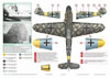 Exito Decals Item No. ED32010 - Messerschmitt Bf 109 Aces Eastern Front Fighters Review by Graham Ca: Image