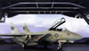 Hasegawa 1/48 F-14A Tomcat by Roland Sachsenhofer: Image