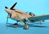 Hasegawa 1/32 P-40N Warhawk by Tolga Ulgur: Image