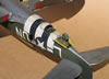 Trumpeter 1/32 P-47D-22 by Tolga Ulgur: Image