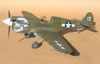 Hasegawa 1/32 P-40N-1 "Dikan Death" by Tolga Ulgur: Image