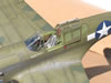 Hasegawa 1/32 P-40N-1 "Dikan Death" by Tolga Ulgur: Image