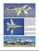 F-14 Tomcat- Part 2: Pacific Fleet and Reserve Squadrons. Review by Floyd S. Werner Jr.: Image