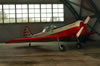 Amodel 1/48 scale Yak-50 by Roland Sachsenhofer: Image