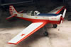 Amodel 1/48 scale Yak-50 by Roland Sachsenhofer: Image