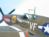 Trumpeter's 1/32 scale P-51B Mustang by Tolga Ulgur: Image