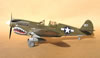 Hasegawa 1/32 P-40N by Tolga Ulgur: Image