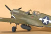 Hasegawa 1/32 P-40N by Tolga Ulgur: Image