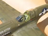 Hasegawa 1/32 P-40N by Tolga Ulgur: Image