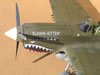 Hasegawa 1/32 P-40N by Tolga Ulgur: Image