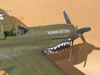 Hasegawa 1/32 P-40N by Tolga Ulgur: Image