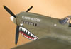 Hasegawa 1/32 P-40N by Tolga Ulgur: Image