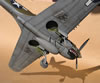 Hasegawa 1/32 P-40N by Tolga Ulgur: Image