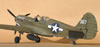 Hasegawa 1/32 P-40N by Tolga Ulgur: Image