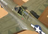 Hasegawa 1/32 P-40N by Tolga Ulgur: Image