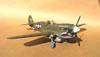 Hasegawa 1/32 P-40N by Tolga Ulgur: Image