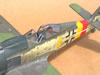 Hasegawa 1/32 Fw 190 A-8 by Tolga Ulgur: Image