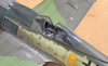 Hasegawa 1/32 Fw 190 A-8 by Tolga Ulgur: Image