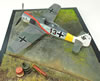 Eduard 1/48 Fw 190 A-5/U12 by Mark Danko: Image